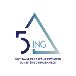 5ING CONSULTING