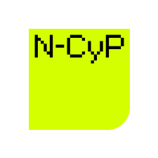 Normandie Cyber Protection