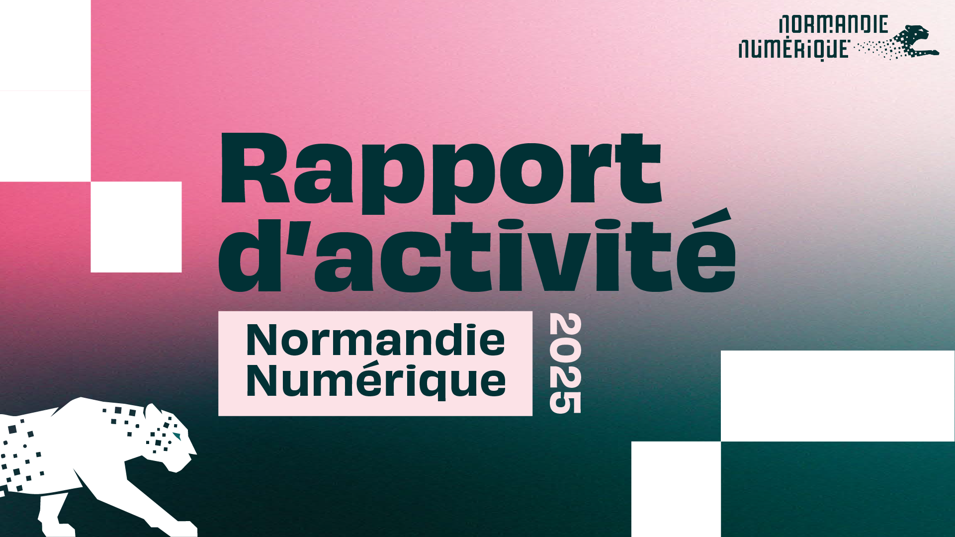 Rapport d'activité 2025